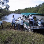 Replantando margens do Rio