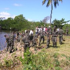 Replantio Exercito  7