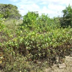 Beach after our work2